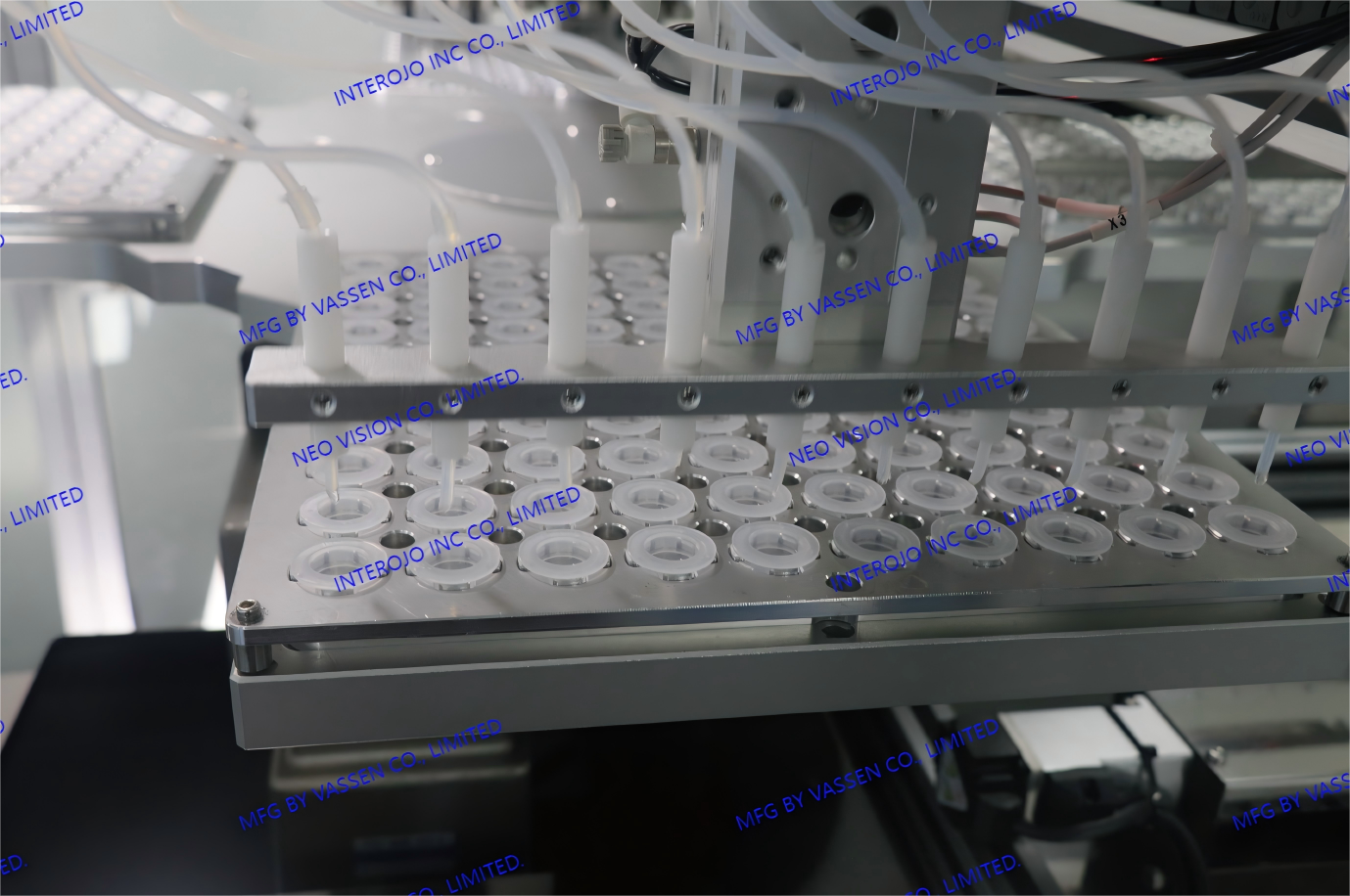 Certification Certificate