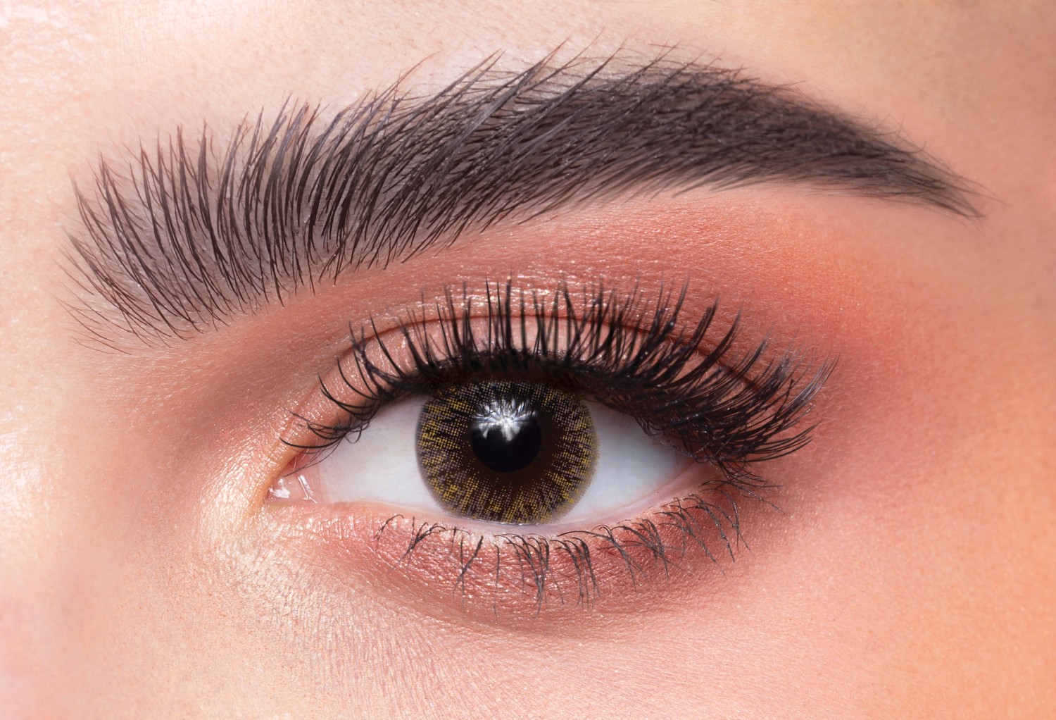 Brownish -#38 (DAILY)